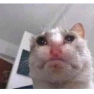 Meet your Posher, Haneen